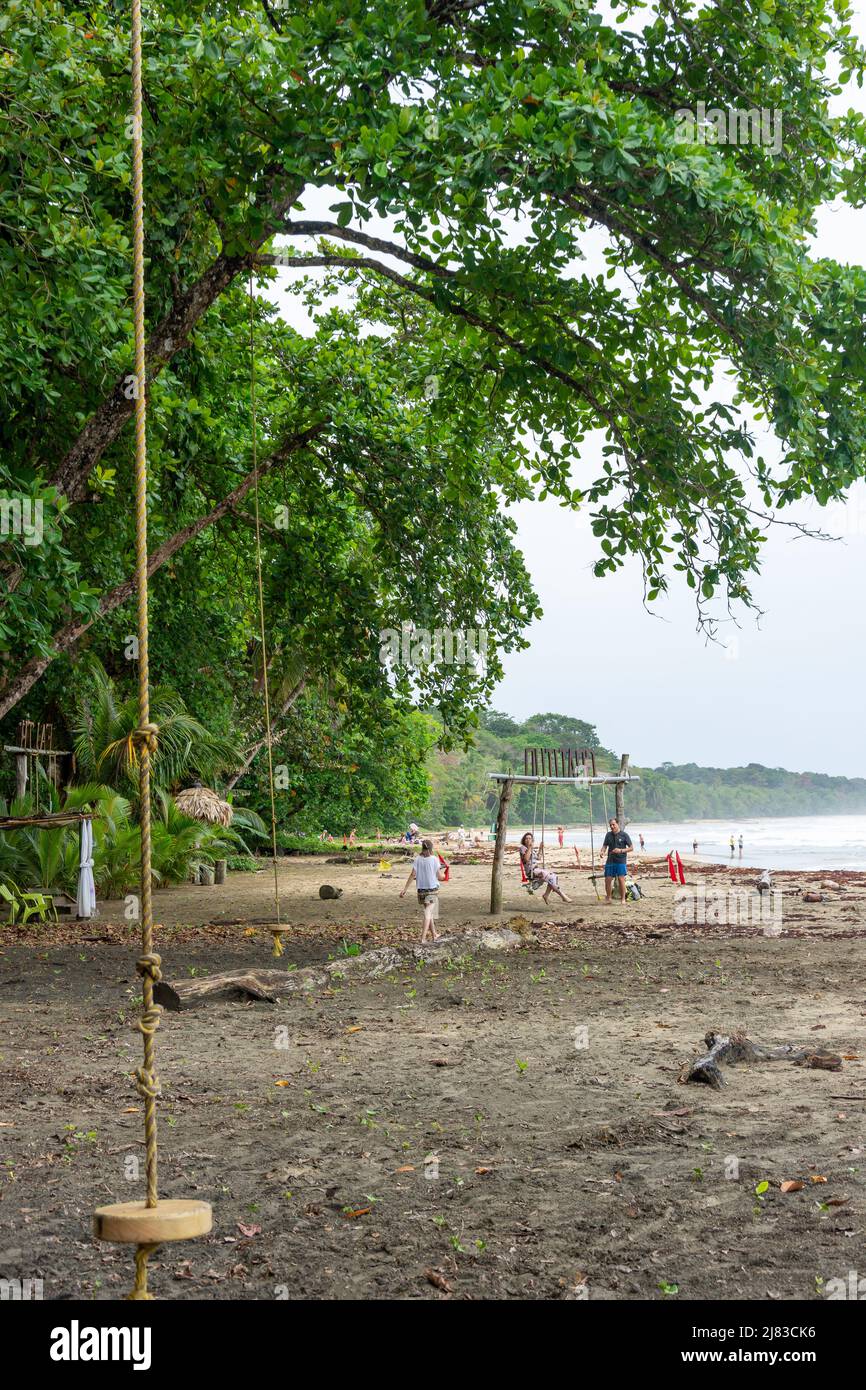 Balançoires sur la plage, Playa Grande, Parque Nacional Manzanillo, province de Limón, République du Costa Rica Banque D'Images