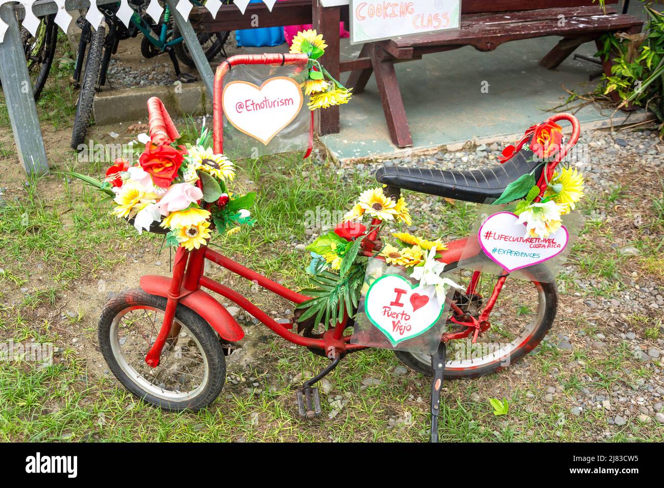 Vélo décoré à l'extérieur de la boutique touristique, C 215, Puerto Viejo de Talamanca, province de Limón, République du Costa Rica Banque D'Images