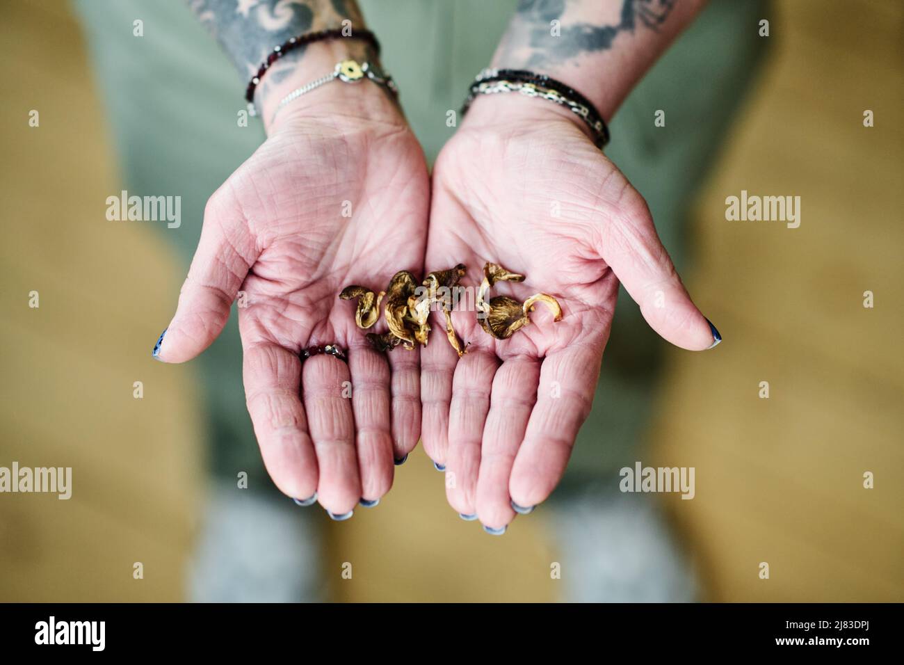 Vue de haut en bas de la femme adulte méconnaissable avec tatouages sur les bras tenant des champignons séchés dans les mains, concept de microdosage Banque D'Images