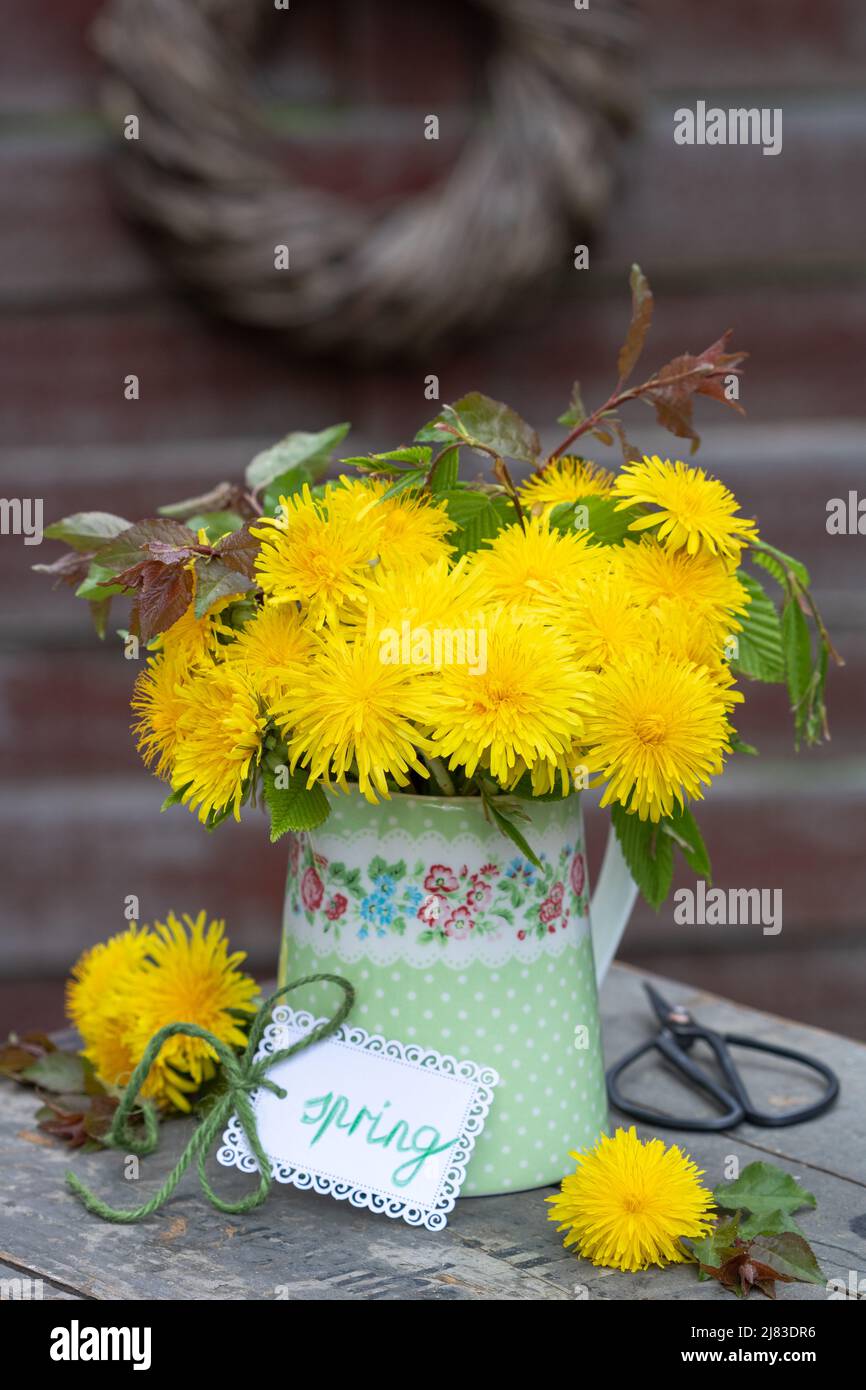 bouquet de fleurs de pissenlit dans un vase Banque D'Images