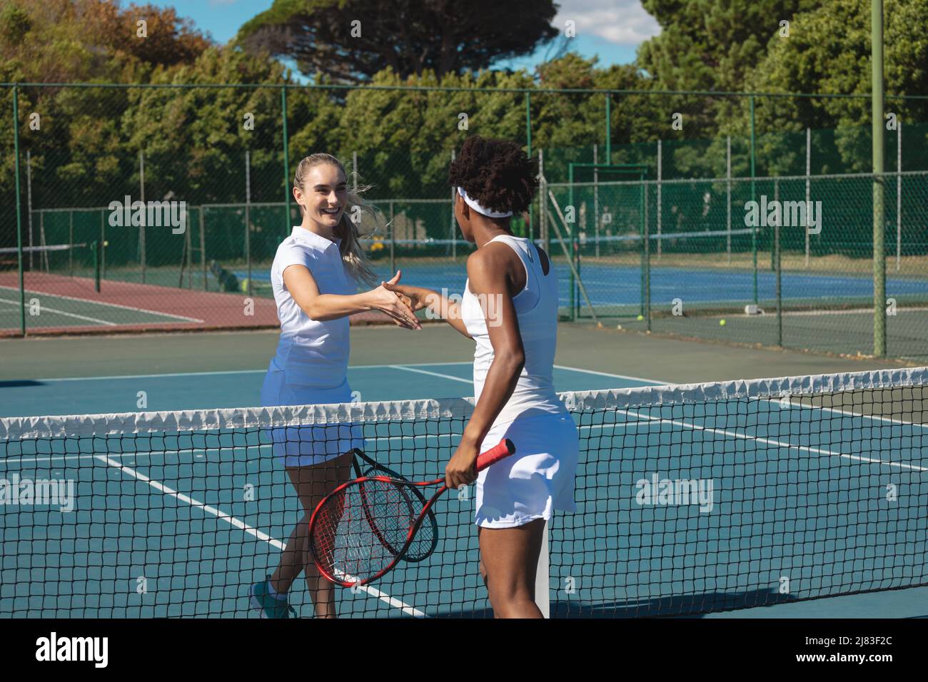 Des femelles biraciales heureuses se faisant poignée de main sur le filet sur le court de tennis le jour ensoleillé Banque D'Images