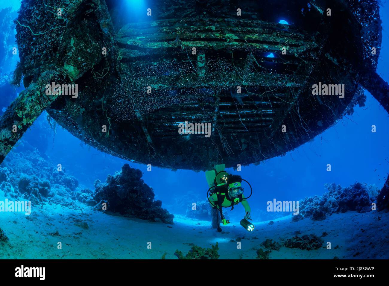 Taucherin unter der UnterwasserstationÂ der Unterwassersiedlung von Jacques Yves Cousteau, Précontinent II, Rotes Meer, Shab Rumi, Soudan Banque D'Images