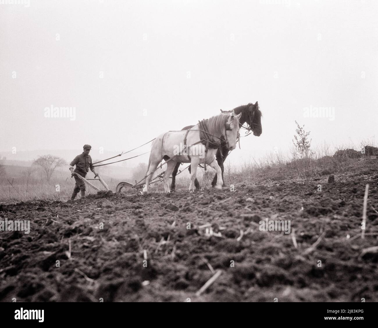 1920S AGRICULTEUR MONOHOMME LABOURANT LE CHAMP À FLANC DE COLLINE AVEC UNE ÉQUIPE DE DEUX CHEVAUX TIRANT LA CHARRUE TOURNANT LE SOL POUR SE PRÉPARER POUR LA PLANTATION - F912 HAR001 HARS SATISFACTION EMPLOIS RURAL MAISON VIE COPIE ESPACE PERSONNES PLEINE LONGUEUR INSPIRATION AGRICULTURE BIENVEILLANTE HOMMES PROFESSION SILHOUETTES SPIRITUALITÉ DU SOL AGRICULTURE B&W OUTLINE TOURNAGE DE LA TERRE OBJECTIFS DE LIBERTÉ COMPÉTENCE MÉTIER MAMMIFÈRES PRÉPARER LA FORCE CHARRUE SILHOUETÉ CARRIÈRES AGRICULTEURS FAIBLE ANGLE PROGRÈS MAIN D'ŒUVRE LABOUR FIERTÉ DE L'EMPLOI MÉTIERS INFRASTRUCTURE CONCEPTUELLE COOPÉRATION EMPLOYÉ APPAREIL CROISSANCE HILLSIDE MAMMIFÈRE ADULTE MOYEN LABOUREUR D'HOMME MOYEN-ADULTE Banque D'Images