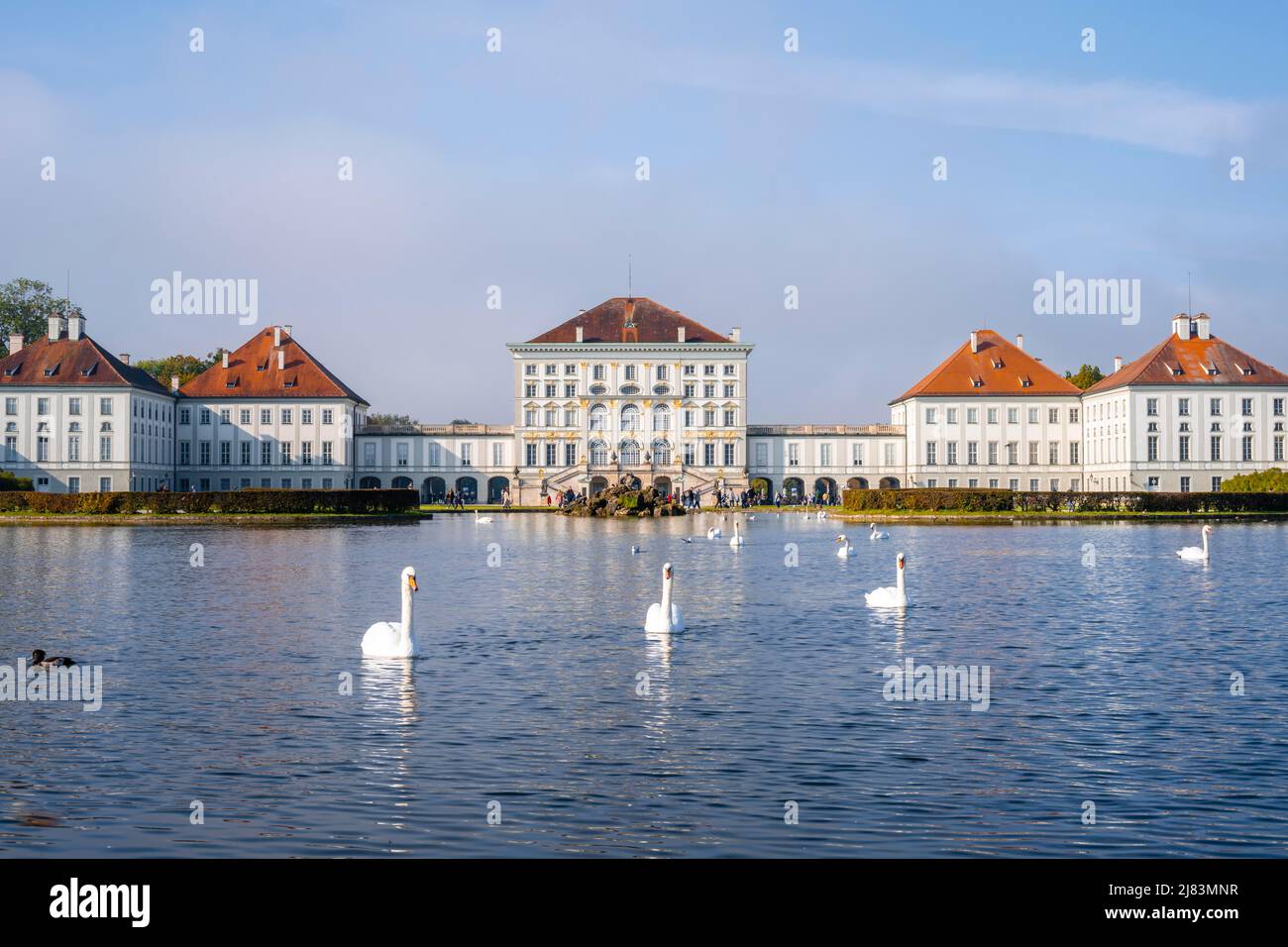 Swans nageant en face du palais de Nymphenburg, jardin du palais, Munich, Bavière, Allemagne Banque D'Images