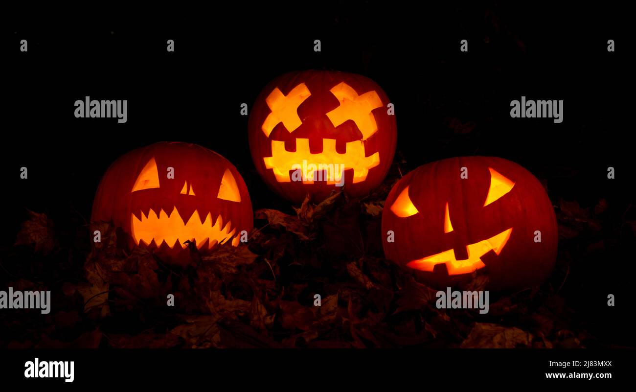 Citrouilles brillantes la nuit, visage de citrouille, citrouilles sculptées, grimace, halloween, arrière-plan sombre Banque D'Images