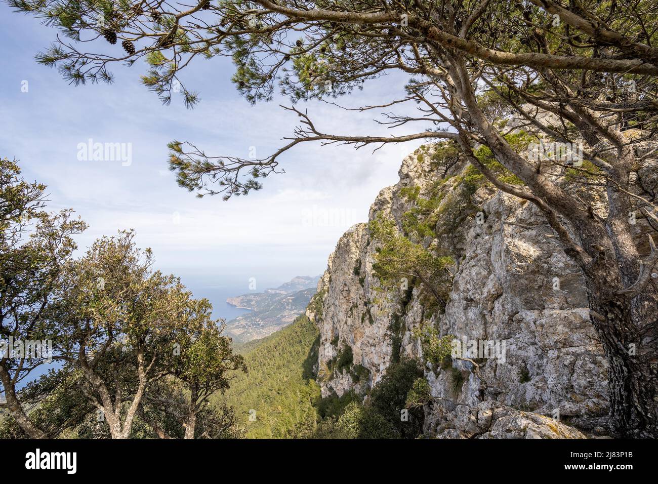 Vue de Cami de s'Arxiduc (GR) (221) à Deja, Serra de Tramuntana, Majorque, Iles Baléares, Espagne Banque D'Images