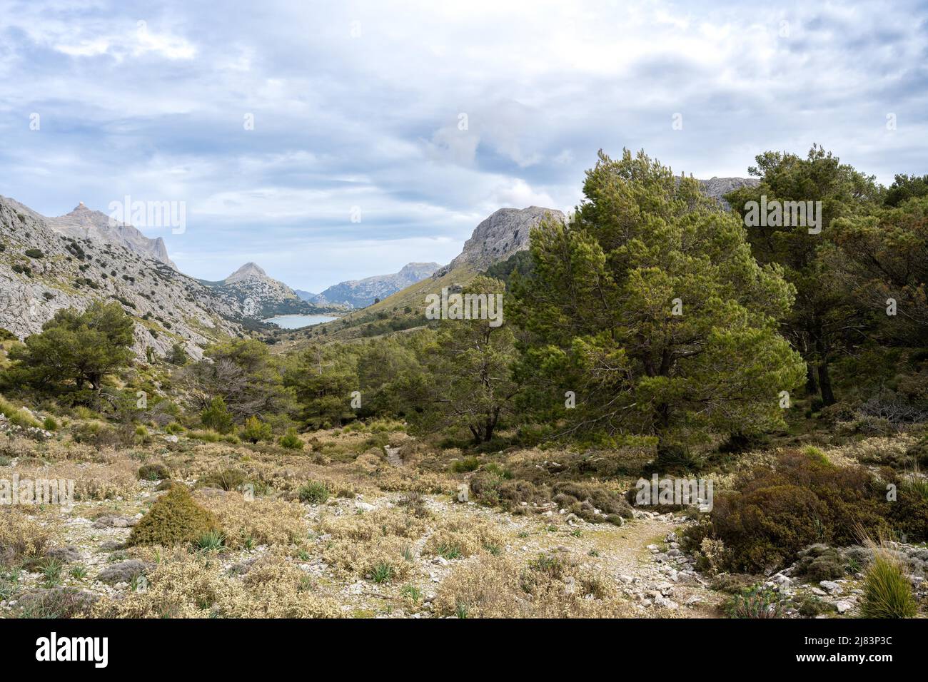 Vue depuis le sentier de randonnée GR 221 du réservoir de Cuber, Serra de Tramuntana, Majorque, Iles Baléares, Espagne Banque D'Images