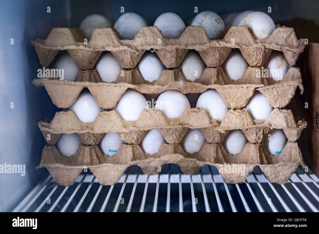 gros plan sur les œufs de poulet dans des plateaux en carton Banque D'Images