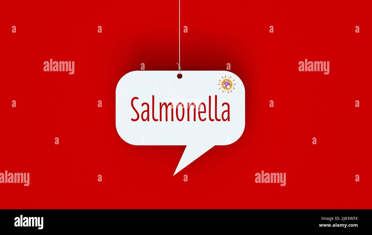 Salmonella Banque D'Images