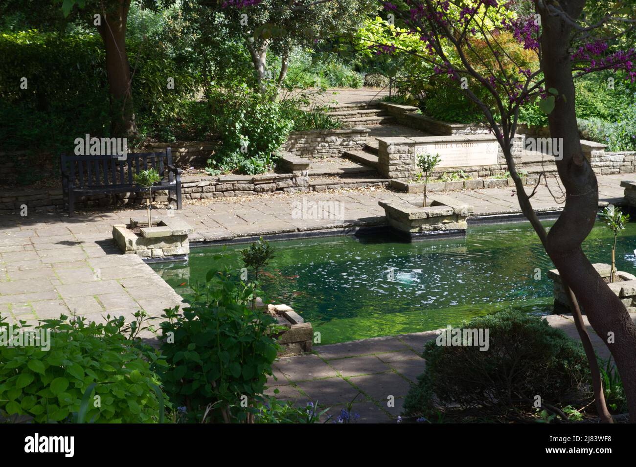 Le jardin Imola dans le parc du Château, Colchester Banque D'Images