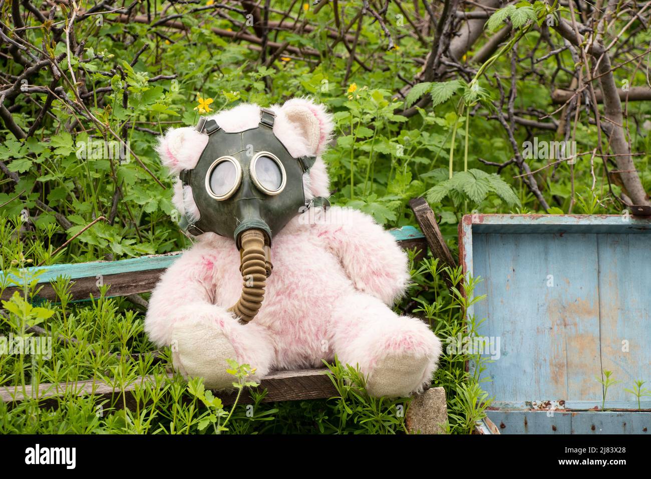 Un ours en peluche dans un masque à gaz repose sur le sol dans l'herbe, attaque au gaz, guerre en Ukraine, attaque chimique pendant la guerre en Ukraine Banque D'Images