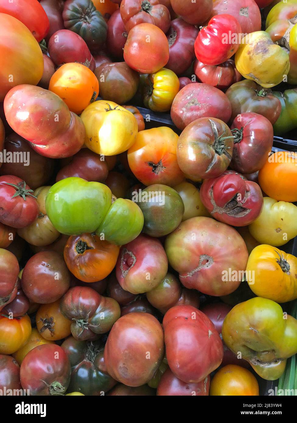 Tomates fraîches biologiques exposées sur le marché de rue à Istanbul, Turquie Banque D'Images