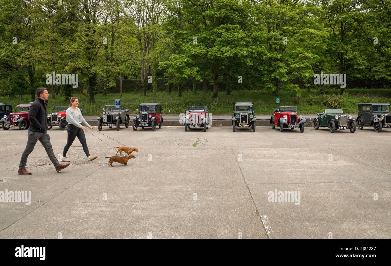 Les membres du club automobile d'Austin avant la guerre 7 et leur animal de compagnie dachshunds participant à la tournée « Century of Sevens Celebration » autour des Dales du Derbyshire. Banque D'Images