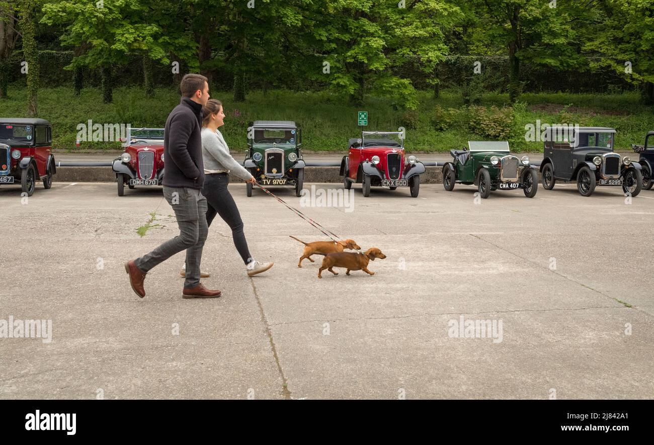 Les membres du club automobile d'Austin avant la guerre 7 et leur animal de compagnie dachshunds participant à la tournée « Century of Sevens Celebration » autour des Dales du Derbyshire. Banque D'Images