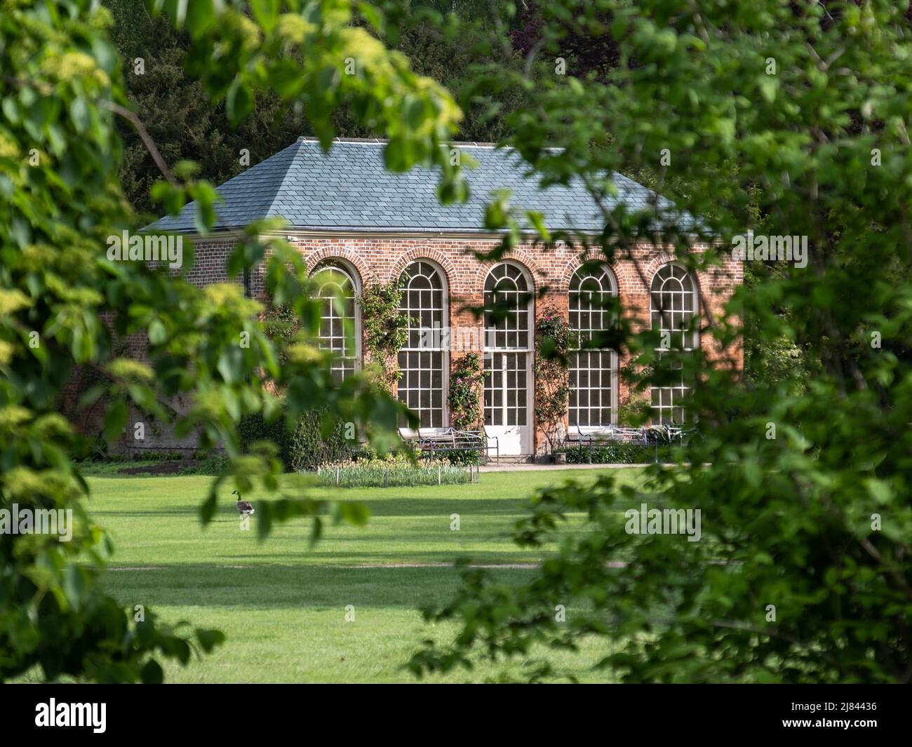 Orangerie Dunham Massey National Trust Banque D'Images