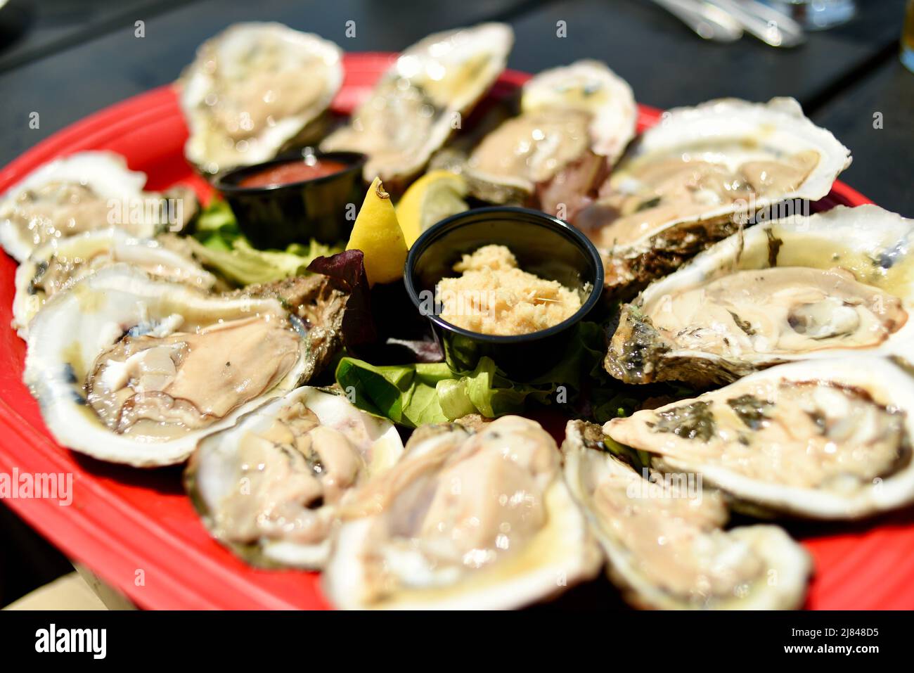 Huîtres fraîches sur la demi-coquille servies au Ginny Lane Bar & Grill at the Wharf, Gulf Shores, Alabama, États-Unis Banque D'Images