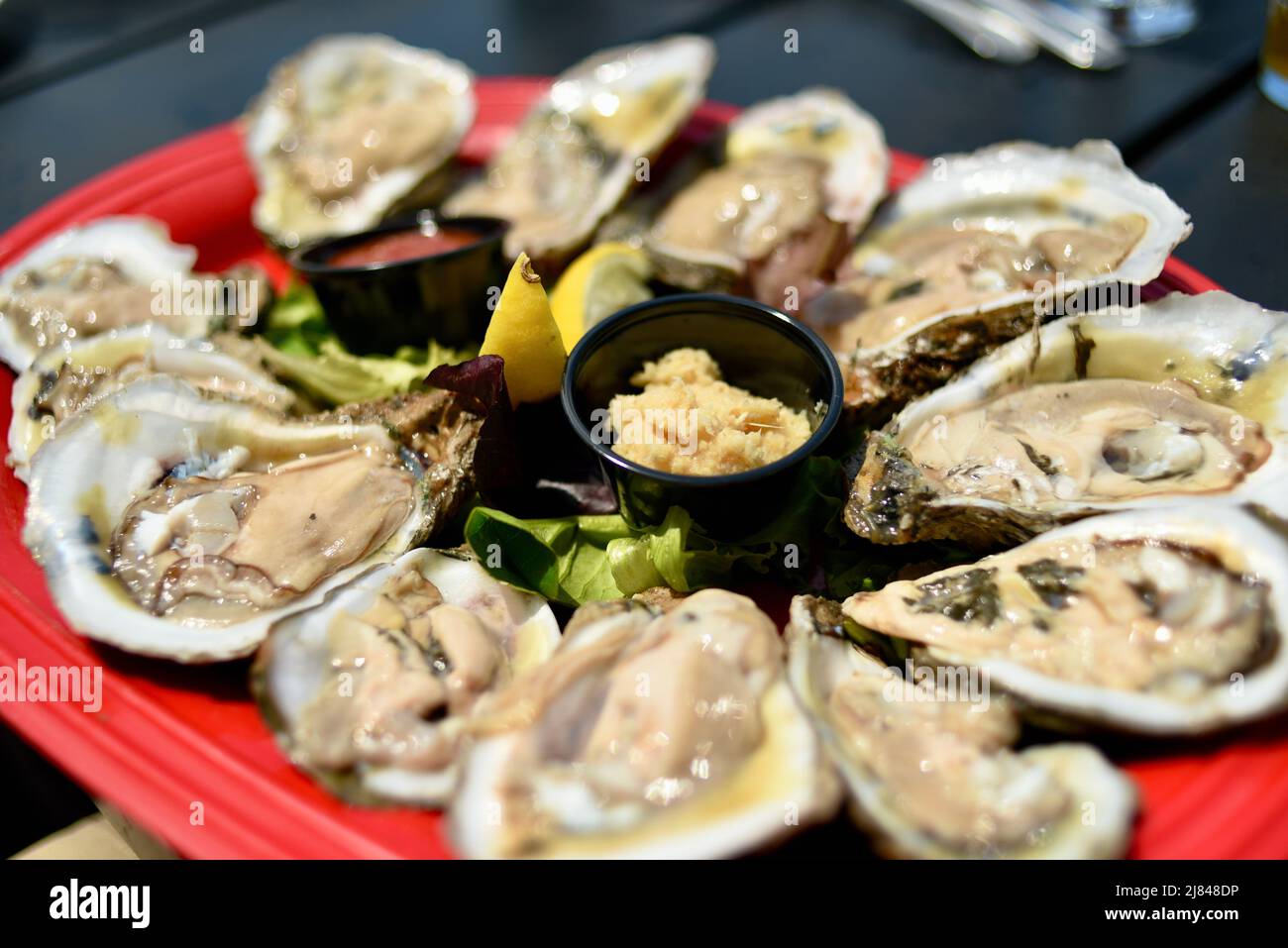 Huîtres fraîches sur la demi-coquille servies au Ginny Lane Bar & Grill at the Wharf, Gulf Shores, Alabama, États-Unis Banque D'Images