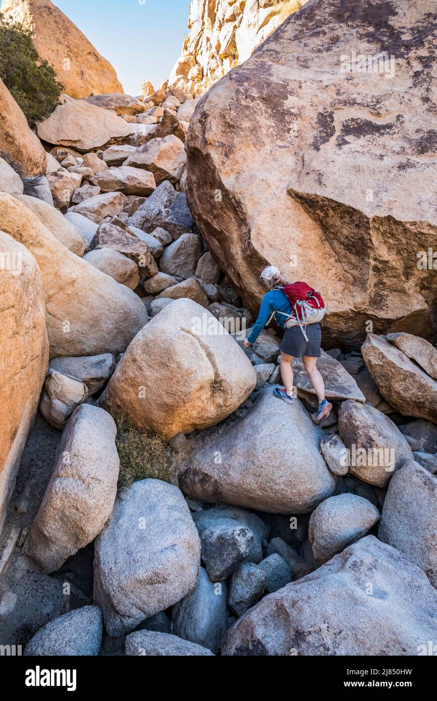 Une femme qui se brouille au-dessus des rochers dans Rattlesnake Canyon, dans le parc national de Joshua Tree. Banque D'Images