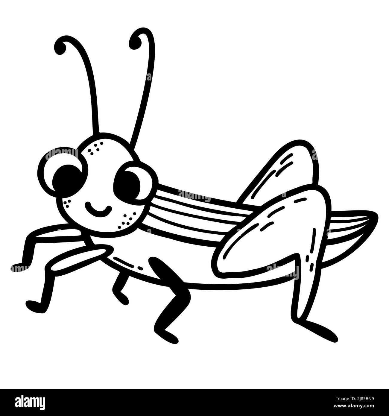 Adorable personnage de sauterelle. Caniche linéaire dessinée à la main. Illustration vectorielle. Insecte pour le design, la décoration, la décoration et l'impression Illustration de Vecteur