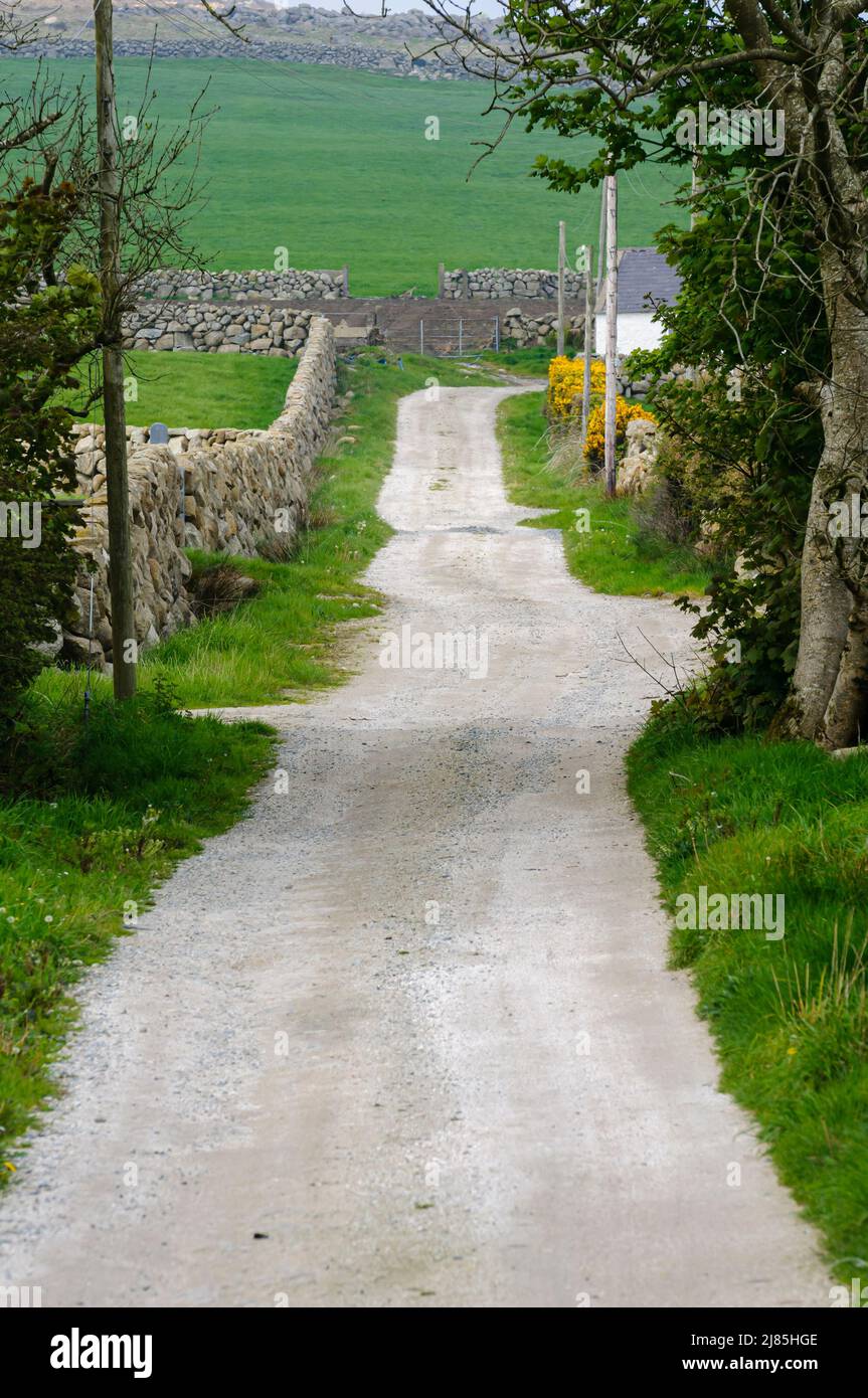 Allée avec murs traditionnels en pierre sèche, commune autour des montagnes Mourne, Irlande du Nord. Banque D'Images