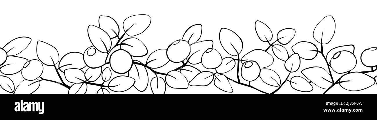 Bordure de branche de myrtille. Illustration vectorielle faite à la main Illustration de Vecteur