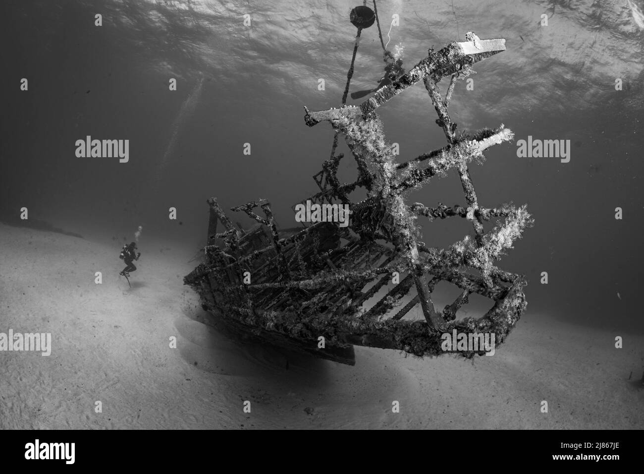 Diver sur le pont Divesite au large de l'île hollandaise des Caraïbes de Sint Maarten Banque D'Images