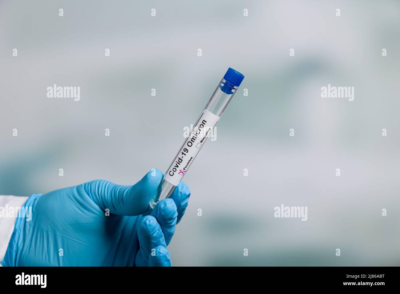portez des gants bleus tenant un tube à essai après l'analyse du virus avec  des marqueurs de résultat (anticorps) devant une salle de laboratoire Photo  Stock - Alamy