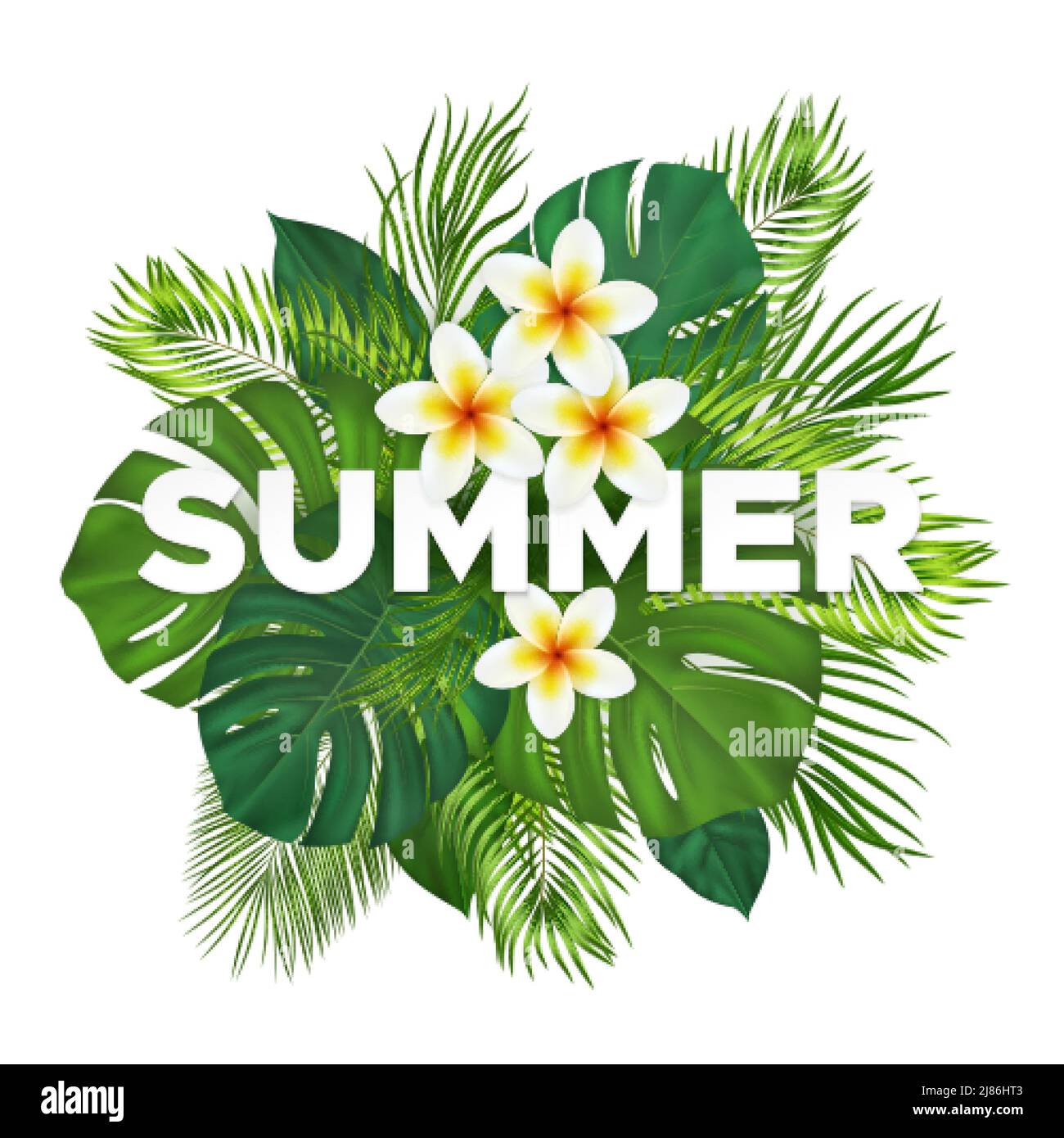 Composition tropicale d'été avec feuilles de palmier et fleurs vertes. Motif botanique exotique avec plantes de la jungle et inscription été Illustration de Vecteur