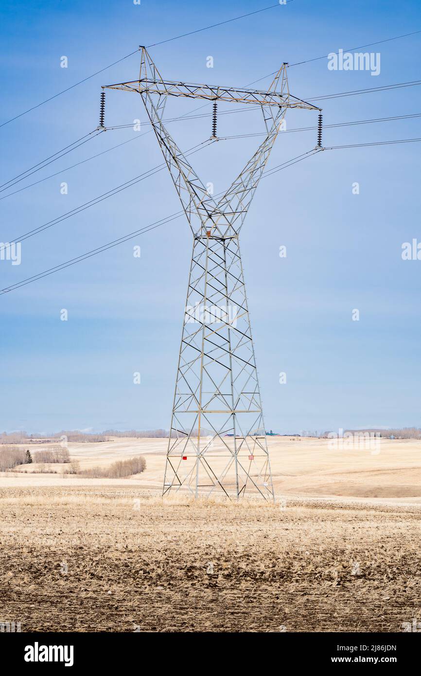 Une grande tour de service électrique en métal se tenant debout sur un champ récolté dans les Prairies de l'Alberta au Canada. Banque D'Images