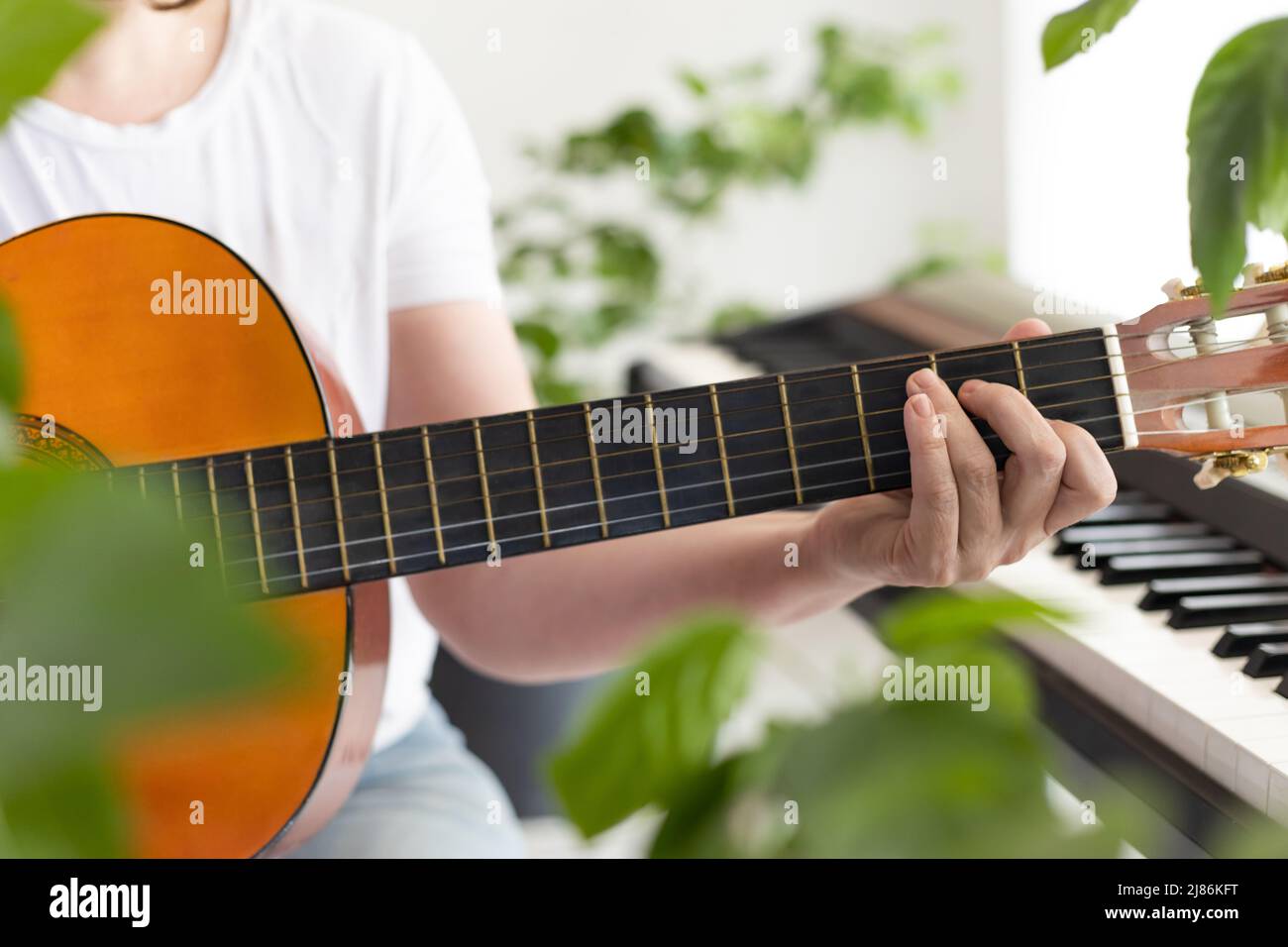 Les mains des femmes jouent la guitare. Les doigts pincez les ficelles sur le tableau de fretboard. Faire de la musique à la maison, se détendre. Intérieur biophile. Beaucoup de Banque D'Images