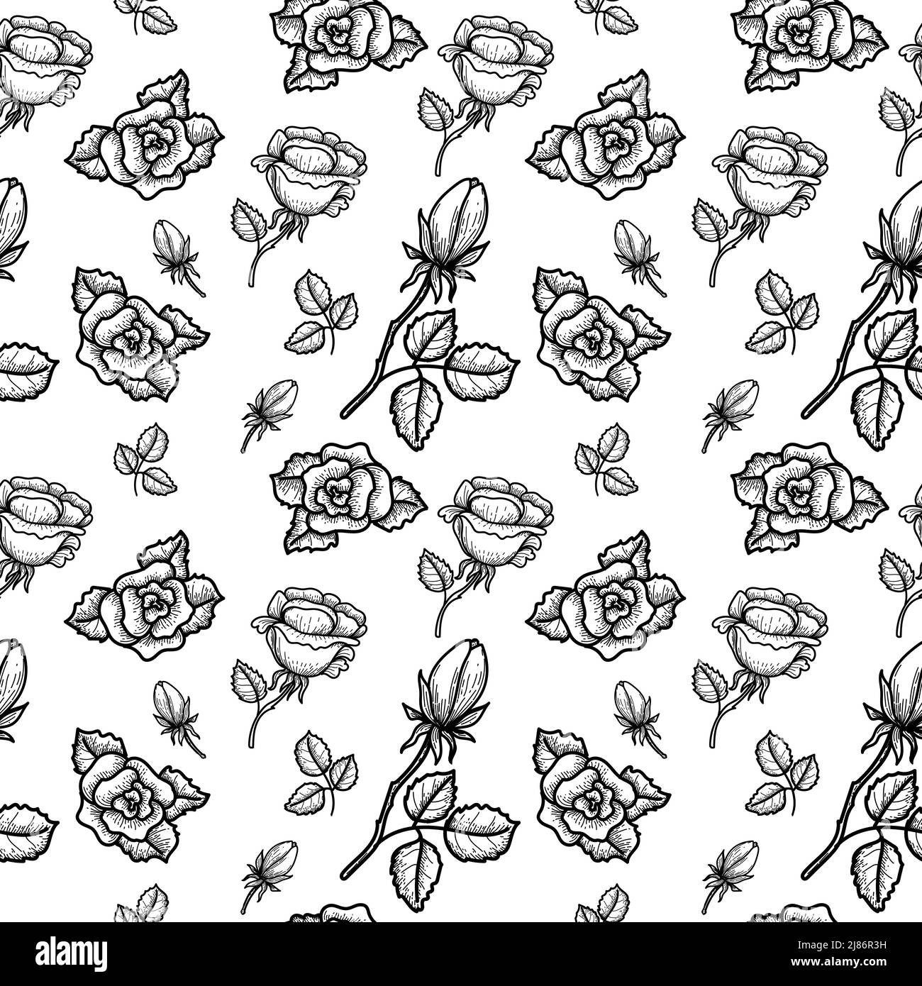 Dessin à la main sans couture d'une rose en style esquisse. Roses, feuilles. Disposition géométrique des éléments. Fleurs. Symbole. Saint Valentin. Vecteur imag Illustration de Vecteur