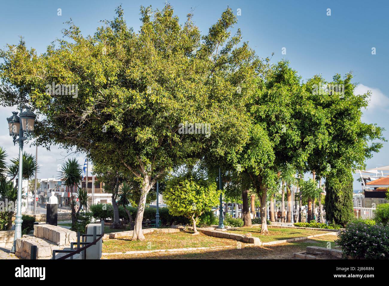 Parc central près du monastère Ayia Napa, Chypre. Banque D'Images
