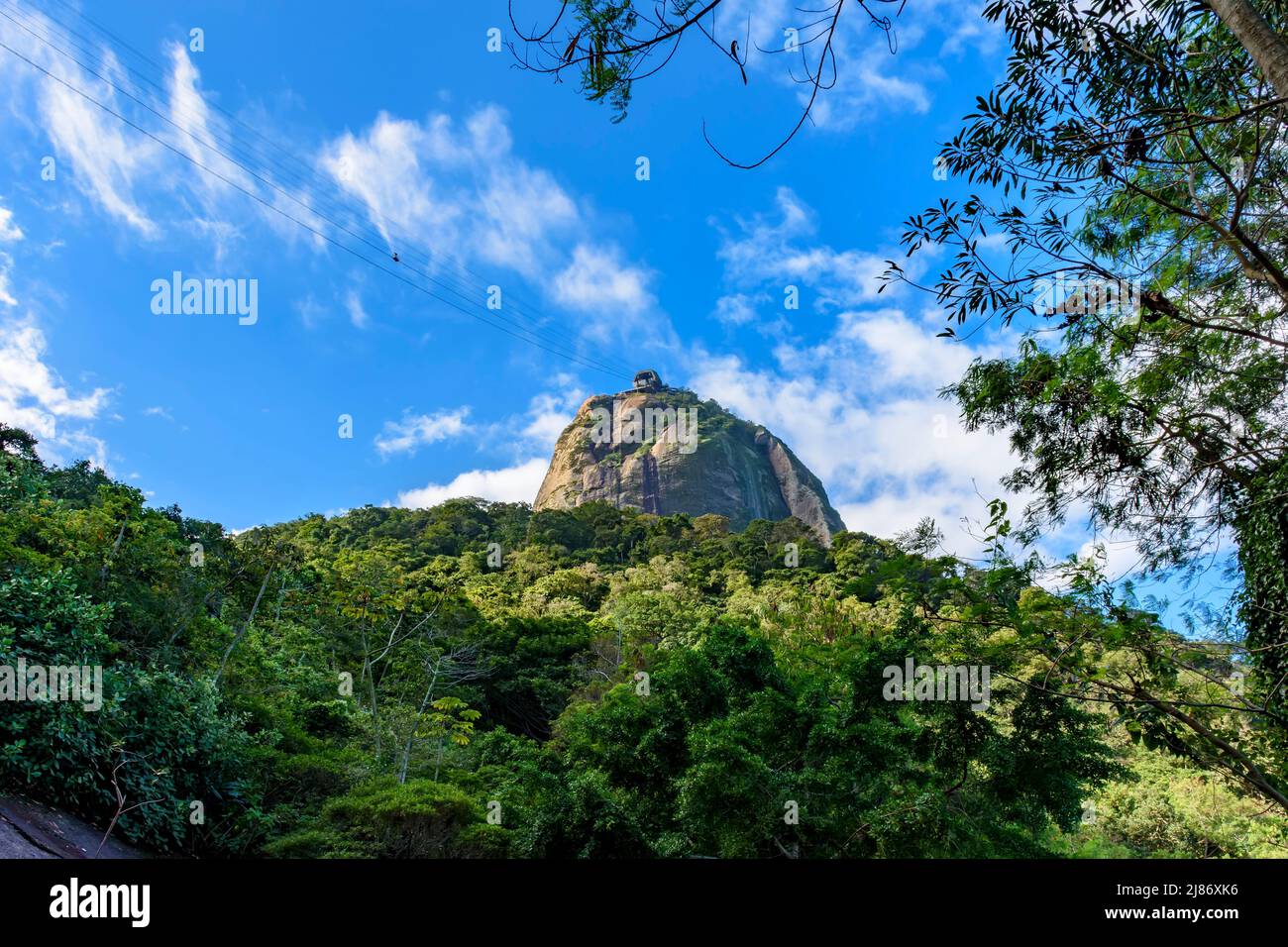 Montagne de Sugarloaf vue à travers la végétation de la forêt tropicale sur les collines de Rio de Janeiro, Brésil Banque D'Images