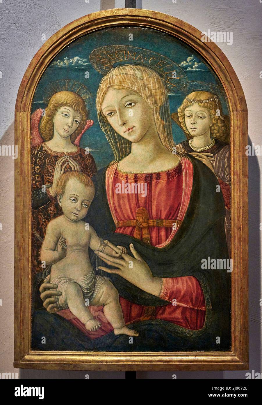 Madonna col Bambino e angeli - tempera su tavola - Guidoccio Cozzarelli - 1485 - Pienza (si),Italia, Museo Diocesano d’Arte Sacra Banque D'Images