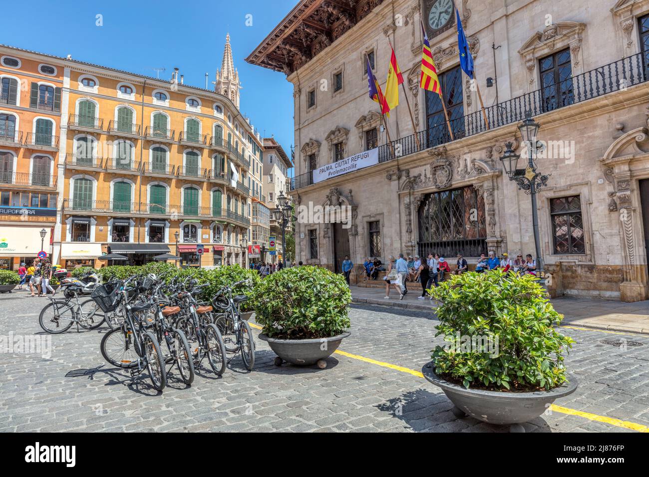 Vélos en face de l'Ajuntament de Palma un bâtiment municipal historique du 17e siècle à Placa de Cort dans la vieille ville de Palma.. Banque D'Images