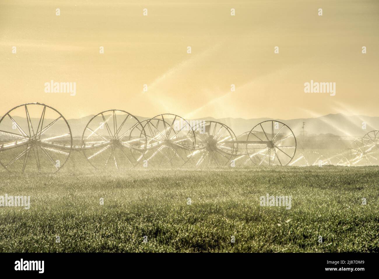 Icicles on irrigation wheelines, Aberdeen, Idaho, Etats-Unis Banque D'Images