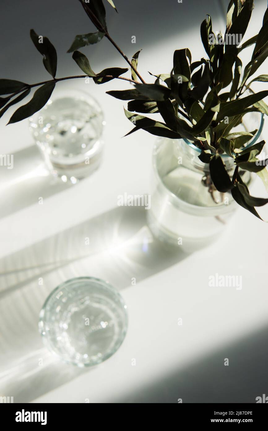 Un vase en verre avec une plante verte et deux verres d'eau sur une table blanche.Minimalisme. Banque D'Images
