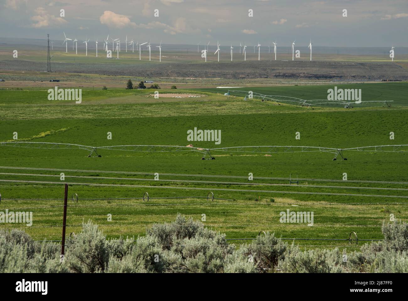 Les tours éoliennes ajoutent de la diversification au mode de vie agricole rural de Bliss, Idaho, États-Unis Banque D'Images