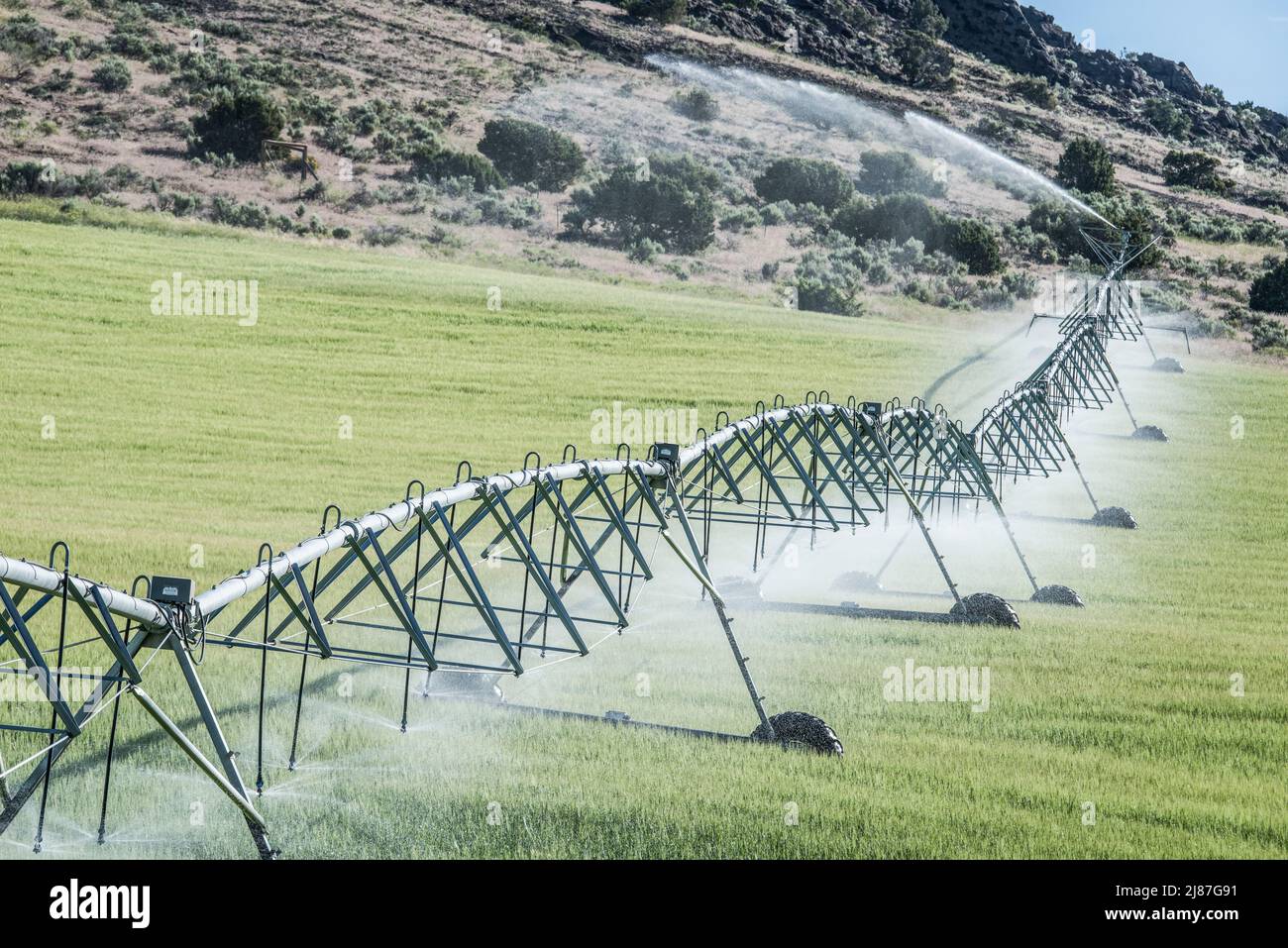 Les eaux d'irrigation pivot une récolte sur la Menan Butte, Deer Parks Wildlife Mitigation Unit, Menan, Idaho, États-Unis Banque D'Images