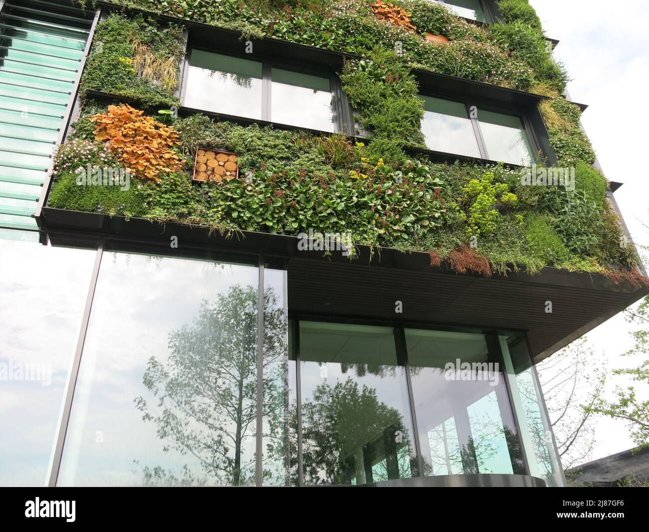 Conformément au thème de Floriade Expo 2022 « la croissance des villes vertes », le bâtiment AERES Hogeschool est couvert de murs verts avec une végétation luxuriante. Banque D'Images