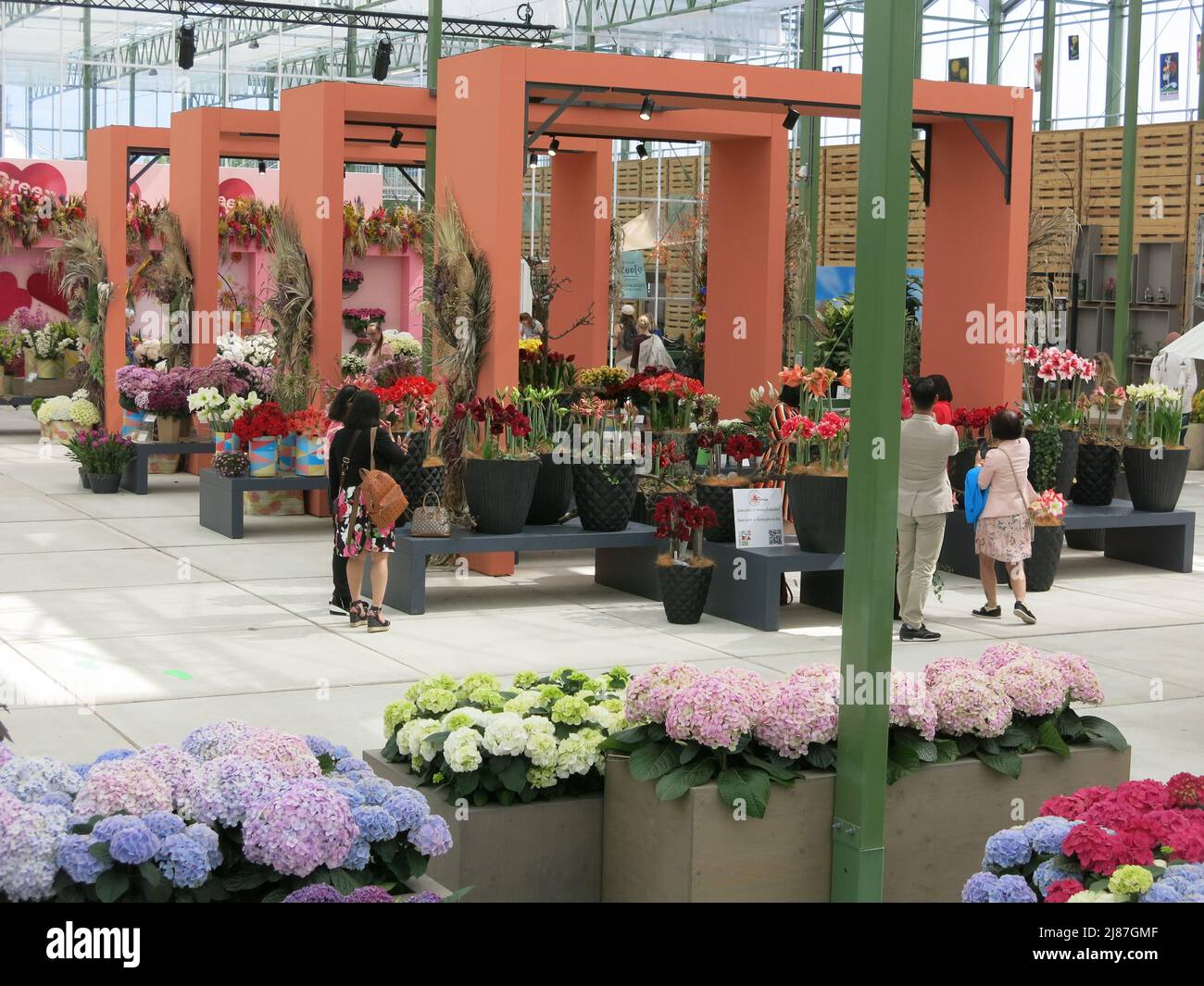 Des expositions florales spectaculaires dans la Maison verte sur l'avenue Hortus, une célébration de toutes choses créatives et botaniques: Floriade Expo 2022. Banque D'Images