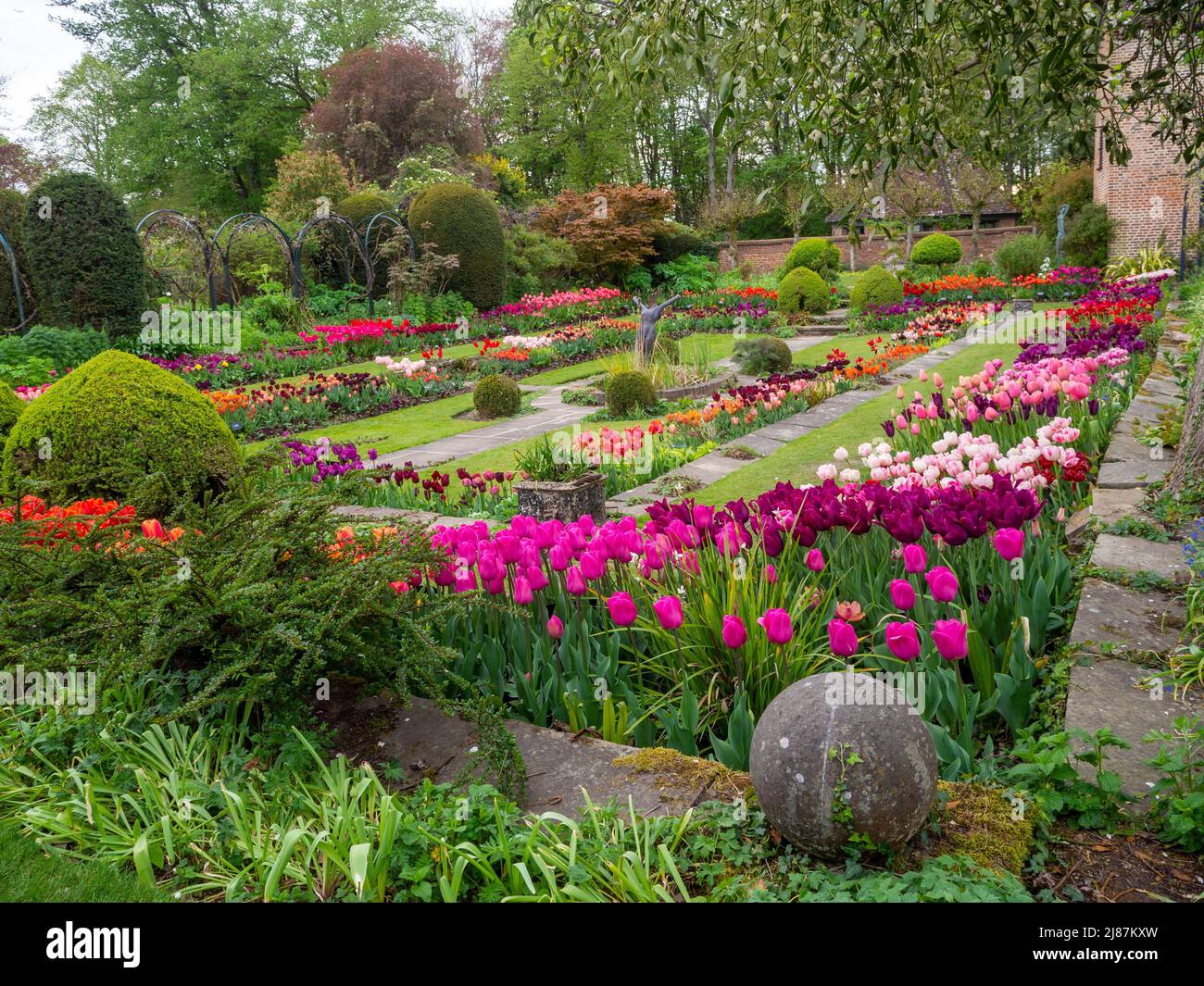 Chenies Manor Garden. De belles variétés de tulipes dans le jardin en contrebas. Couleurs rose, mauve, rouge, orange vif et pastel. Banque D'Images