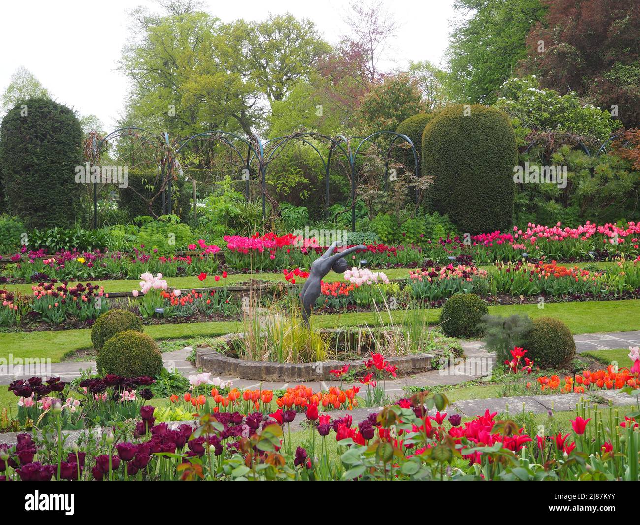 Chenies Manor House et Sunken Garden à l'époque des tulipes..l'étang ornemental avec des rangées de tulipes de couleurs vives dans les bordures de plantes et pelouse vibrante. Banque D'Images