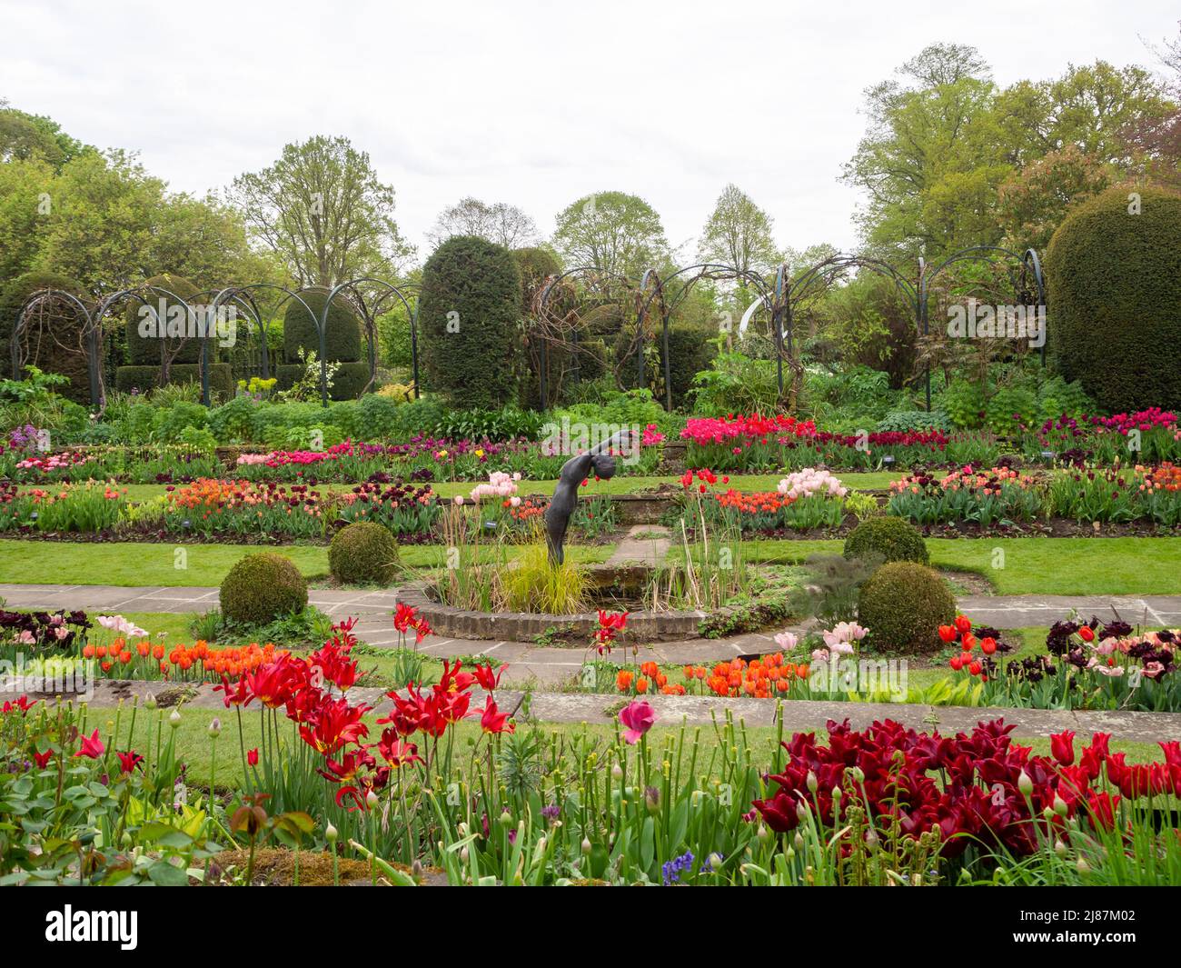 Chenies Manor House et Sunken Garden à l'époque des tulipes..l'étang ornemental avec des rangées de tulipes de couleurs vives dans les bordures de plantes et pelouse vibrante. Banque D'Images