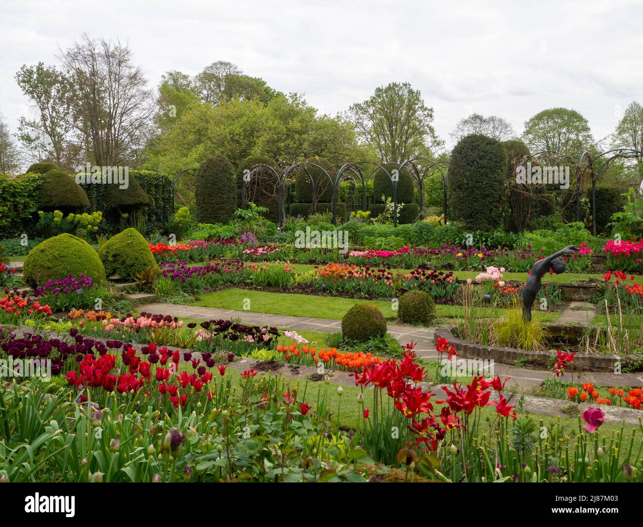 Chenies Manor House et Sunken Garden à l'époque des tulipes..l'étang ornemental avec des rangées de tulipes de couleurs vives dans les bordures de plantes et pelouse vibrante. Banque D'Images