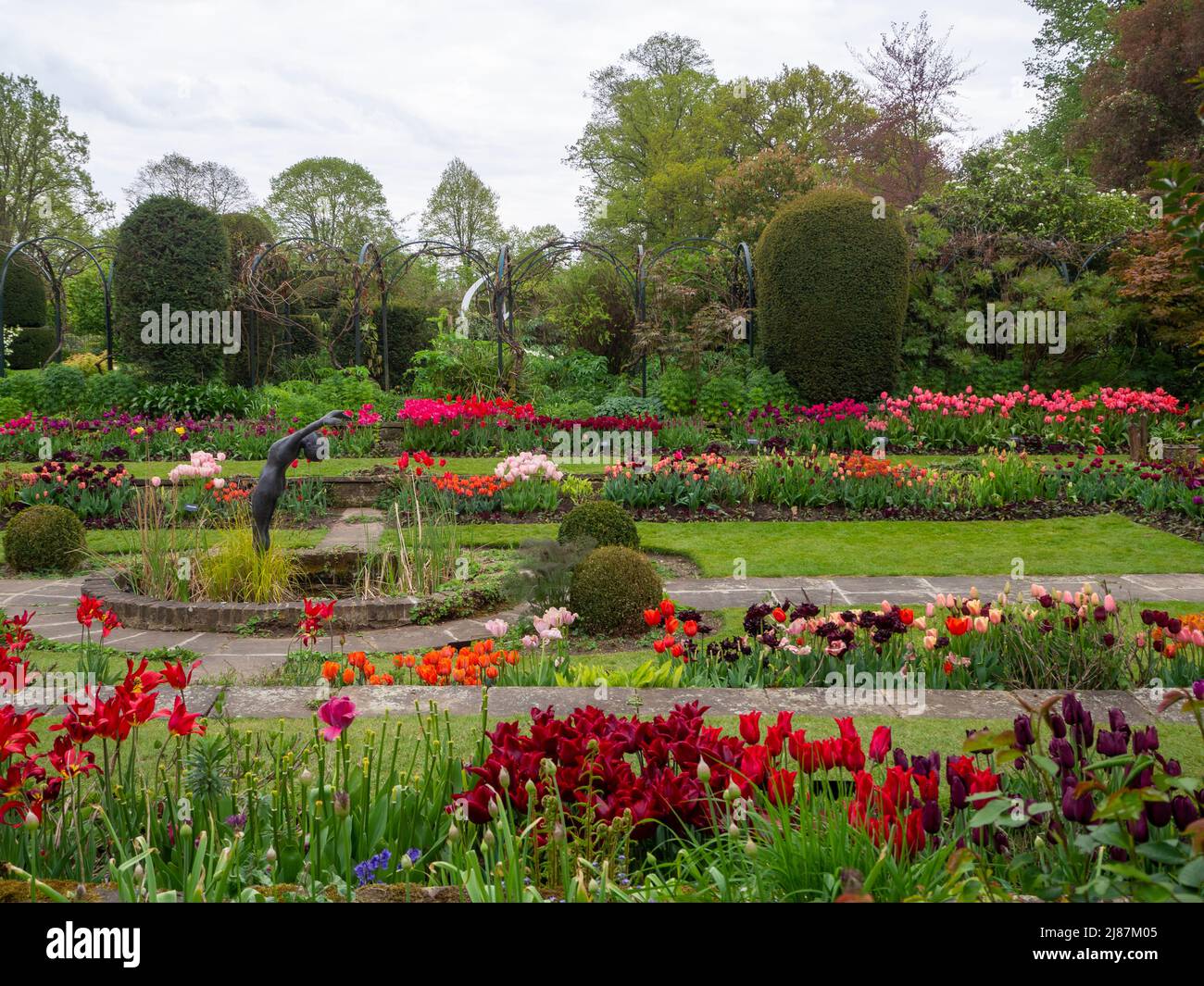 Chenies Manor House et Sunken Garden à l'époque des tulipes..l'étang ornemental avec des rangées de tulipes de couleurs vives dans les bordures de plantes et pelouse vibrante. Banque D'Images