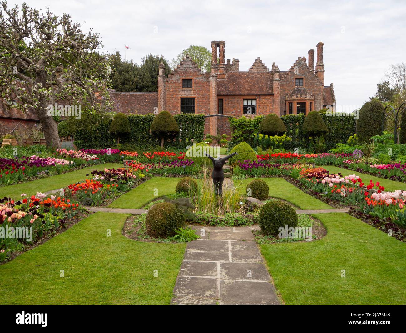 Chenies Manor Garden.vue vers le Tudor Manor depuis le magnifique jardin en contrebas avec de nombreuses variétés de tulipes en fleur. Rouge, rose pastel, fleurs violettes. Banque D'Images