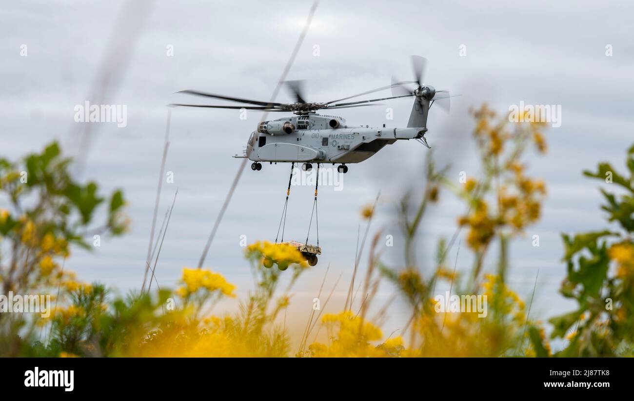 Un CH-53K King Stallion prend un véhicule tactique pendant l'exercice Potomac Restore sur le Camp Lejeune, Caroline du Nord, le 10 mai 2022. Exercice Potomac Restore est un exercice régimentaire basé sur des scénarios conçu pour amener le personnel régimentaire à opérer dans des environnements de soutien tactique et à intégrer des capacités uniques de bataillons subordonnés. (É.-U. Photo du corps marin par Sgt. Rachel K. Young) Banque D'Images