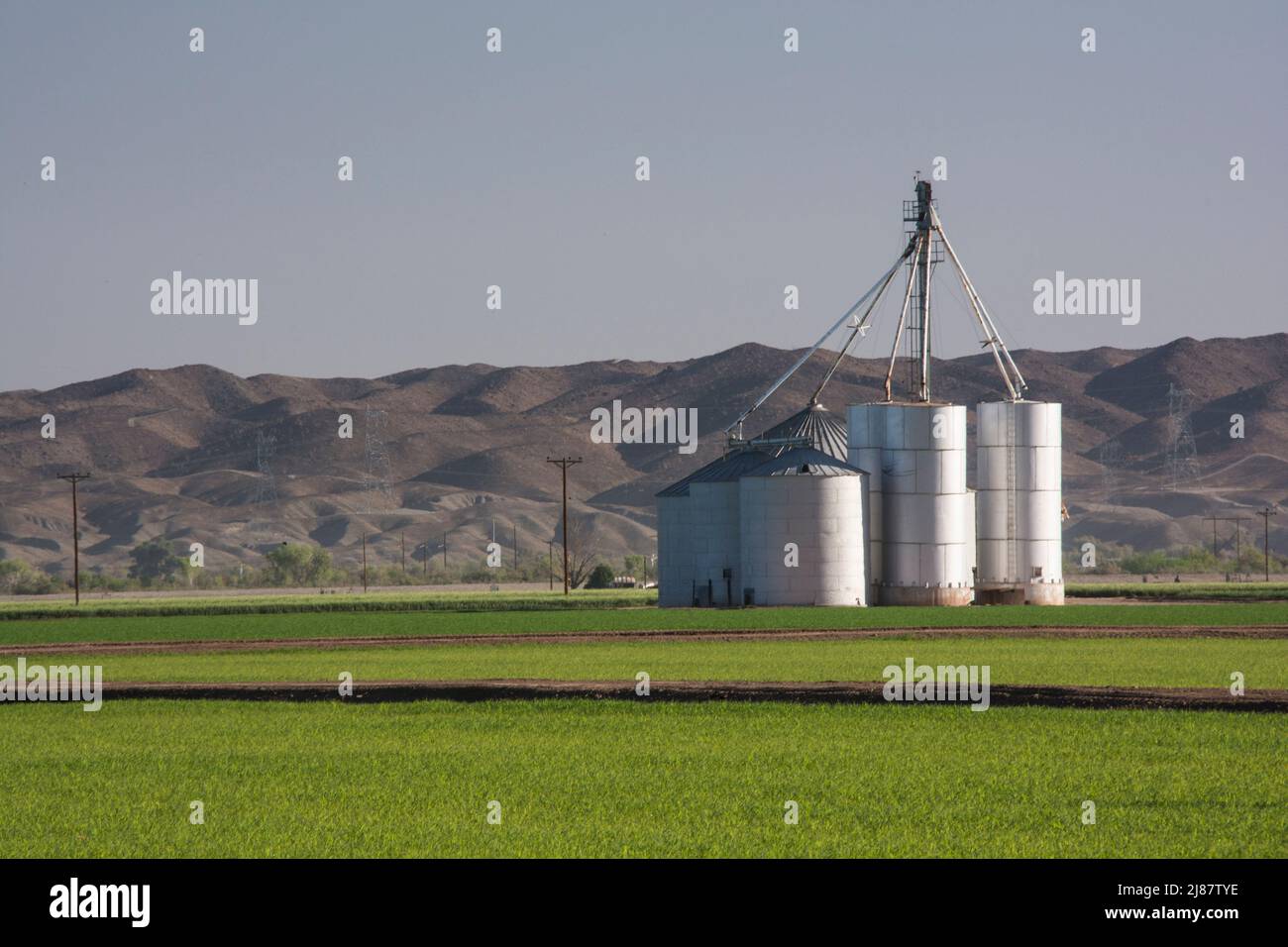 Silos et cultures céréalières près de Yuma, Arizona, États-Unis Banque D'Images
