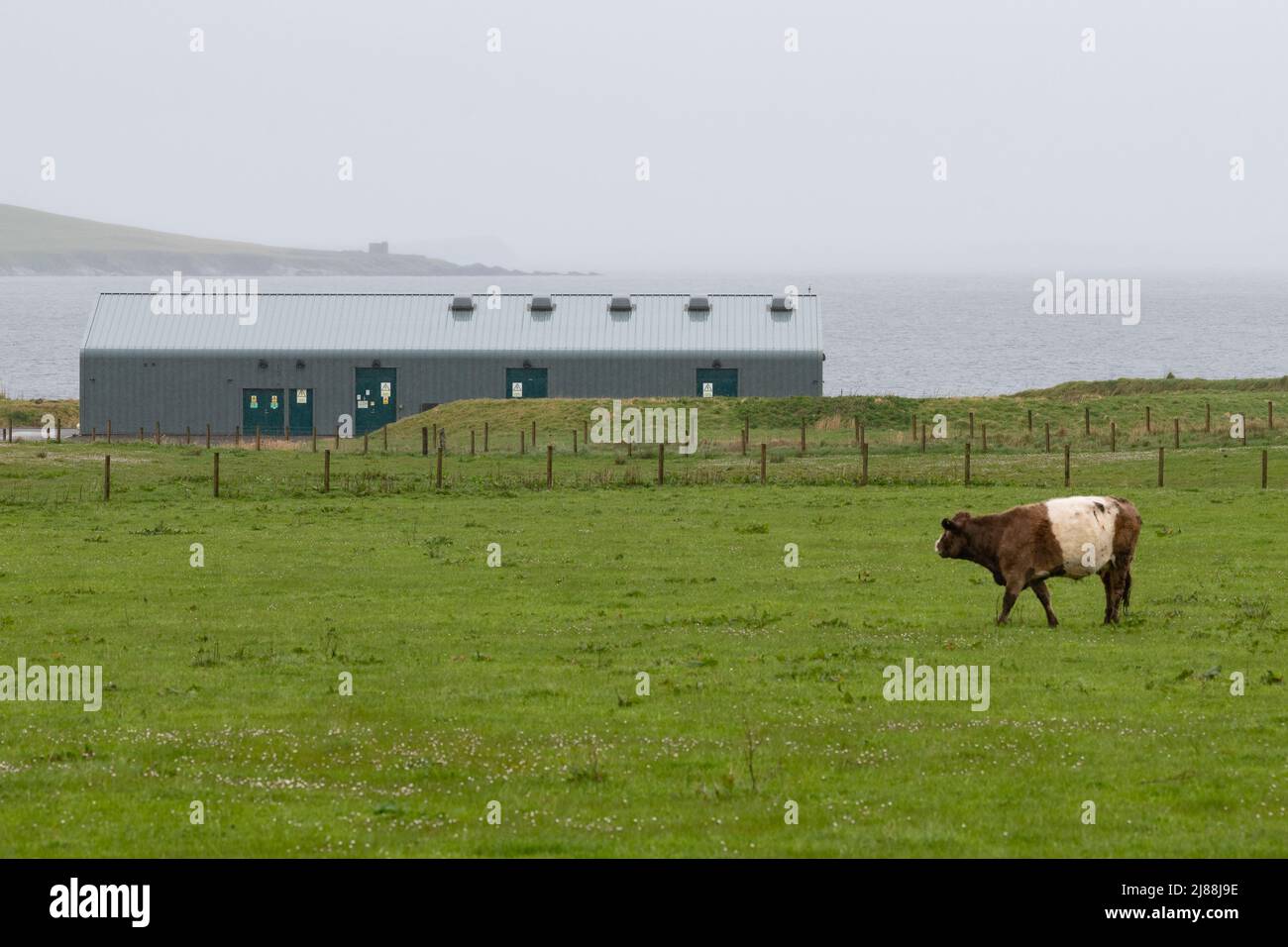 Site du projet d'énergie marémotrice de Meygen, Pentland Firth, Écosse, Royaume-Uni Banque D'Images